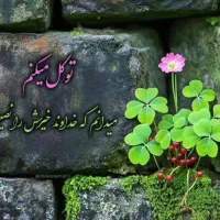 نیازمند سرویس مدرسه ازحکمی به مغیری هستم