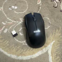 موس|قطعات و لوازم جانبی رایانه|شیراز, کاراندیش|دیوار