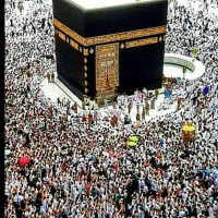 فروش فیش حج عمره ماموستا ادریس شریفی