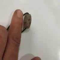 مهره یهودی موکل دار.|کلکسیون اشیاء عتیقه|ایلام, |دیوار