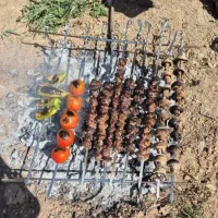 منقل مسافرتی ضیافت