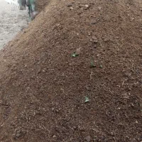 کود گوسفندی|خدمات باغبانی و درختکاری|آبادان, |دیوار