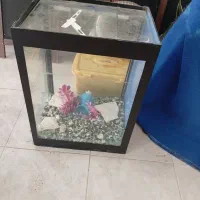 آکواریوم|لوازم جانبی حیوانات|بهشهر, |دیوار