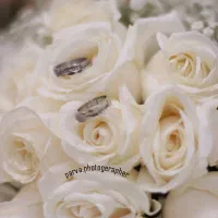 استودیو پروا عکاسی و فیلمبرداری از کلیه مراسم ها