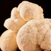 لاینز مین، درمان آلزایمر، افزایش تمرکز و یادگیری