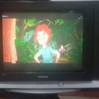 تلویزیون صفحه تخت سامسونگ و گیرنده|تلویزیون و پروژکتور|شیراز, جوادیه|دیوار