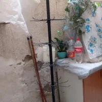 رگال جوراب