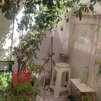خانه-50-متری-ویلایی-تمیز