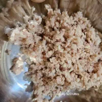 غذای خانگی سالم مخصوص گربه