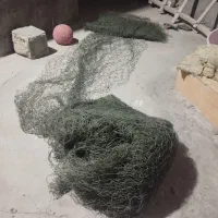 تور ماهیگیری شیر متری 190هزار تومان|ماهیگیری|مهر, |دیوار