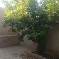 خانه مسکونی واقع درشهرلومار|فروش خانه و ویلا|سیروان, |دیوار