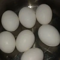 تخم مرغ نطفه دار گلین