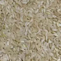 برنج چمپا چلتوک