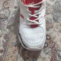 کتونی|کیف، کفش، کمربند|شهریار, شهریار|دیوار