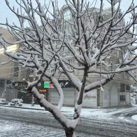 ملاصدرا-غربی-150-متر-3خواب-واحد-در-حد-صفر-لاکچری