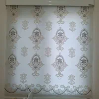 دو عدد پرده زبرا دو مکانیزم در حد نو