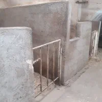 پانسیون اسب|اسب و تجهیزات اسبسواری|کرمانشاه, |دیوار