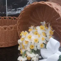 سبد های زیبا