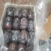 خرمامضافتی ریگان|عمدهفروشی|ریگان, |دیوار