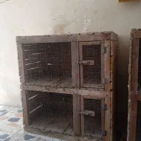 قفس جفت گاه دوطبق. دوعدد