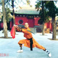 باشگاه رزمی ووشو شائولین کونگ فو