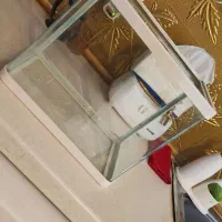 آکواریوم همراه دکور