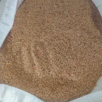 کنجد ارده گیری ،کنجد قنادی ،کنجد روغنگیری|عمده‌فروشی|اردکان, |دیوار