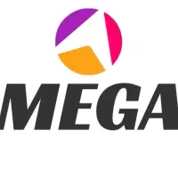 تشک و باکس مگا اسلیپ