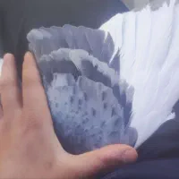 سبز پلنگ نر گنبکی|پرنده|فهرج, |دیوار