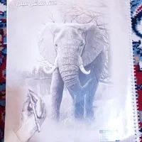 دفتر نقاشی فیلی