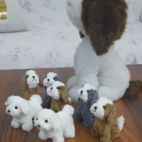 تولید عروسک و جا سویچی