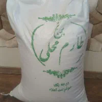 برنج فجر طارم محلی گیلان
