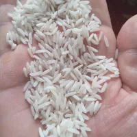 ۵۰ کیلو برنج هاشمی درجه یک هاشمی سوتینگ شده