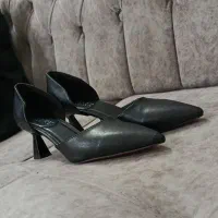 کفش مجلسی.|کیف، کفش، کمربند|مشهد, طبرسی شمالی|دیوار