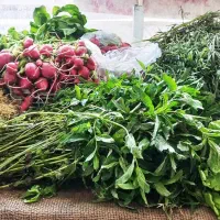 سبزی تازه (خوردن قورمه سبزیآش کوکو سبزی)