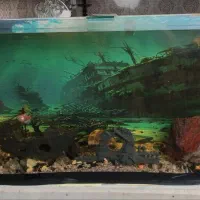 آکواریوم همراه با لوازم کامل و ماهی