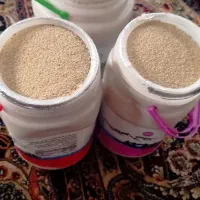 بذر سفید صورتی گوجه ای درجه یک