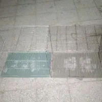 قفس پرنده
