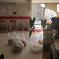 استخدامیکنفرنیرویخانم