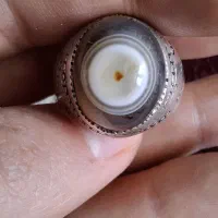یه جفت یا ست انگوشتر باباقوری نی نی