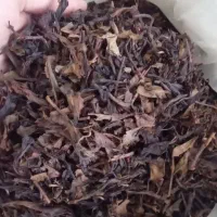 چایی ایرانی لاهیجان کیلویی ۵۵۰