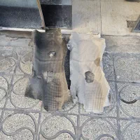 قطعات نو و استوک زانتیا|قطعات یدکی و لوازم جانبی|بروجرد, |دیوار