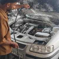استخدام کارواشکار