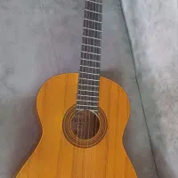 گیتار mv3|گیتار، بیس، امپلیفایر|اصفهان, باغ نگاره|دیوار