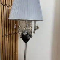 شید اباژور ایستاده