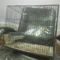 قفس پرنده