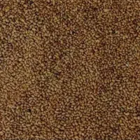 تخمه‌ یونجه اصلاح شده