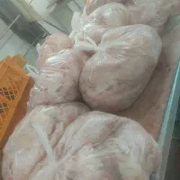 گوشت گوساله.گوسفند.لاشه.تیکه ای چرخ کرده و دنبه|خوردنی و آشامیدنی|اصفهان, عسگریه|دیوار