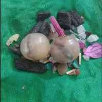 مهره خال مشکی موکلدار