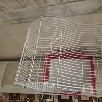قفس پرنده